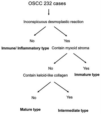 Clinicopathological and Prognostic Significance of Stromal Patterns in Oral Squamous Cell Carcinoma